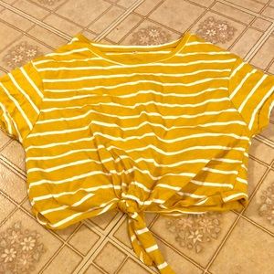 Marigold Striped Crop!